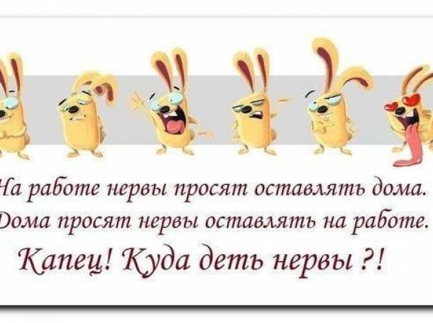 Администратор, фотография 1