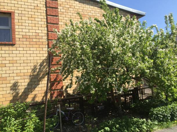 продам коттедж в Чубарах., фотография 2