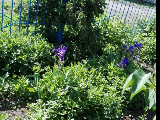 Продается дом в с. Доскей, Казахстан, а. Доскей, фотография 5