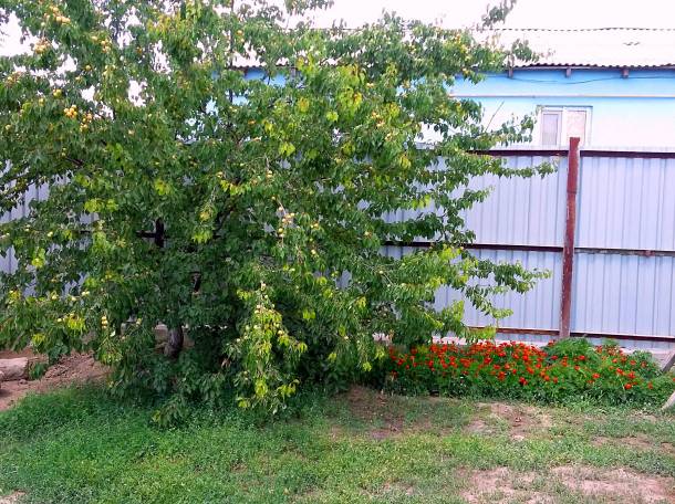 Срочно Продается Дом в центре города, Молдагулова, фотография 10