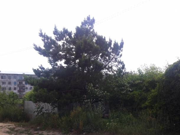 продам дом, Восточно-Казахстанская обл., пгт.Новая Бухтарма, ул.Заводская д.7-1, фотография 1