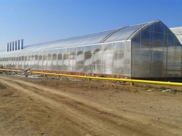 Производство и установка теплиц, фотография 6