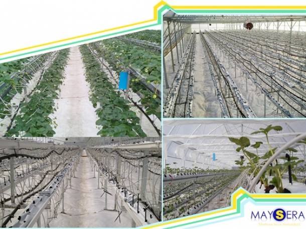 Производство и установка теплиц, фотография 8