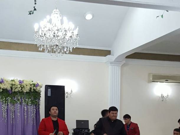 Тамада, музыканты все что требуется вашему празднику , фотография 3