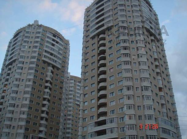 Возьмём девушку на подселение , Абая, фотография 1