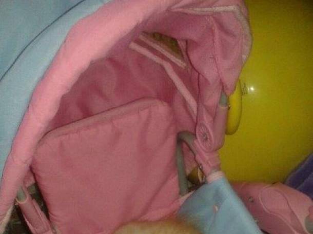 Отдам маленького бандюгана в хорошие руки, фотография 1