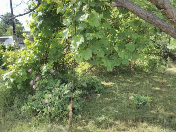 Продам дачу, фотография 3