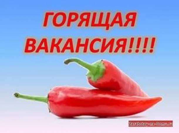 Менеджер-Администратор, фотография 1