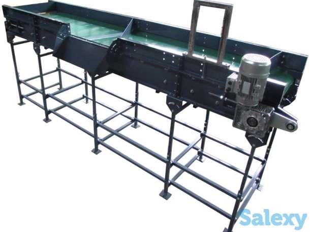 Ленточный конвейер для овощей и картофеля, фотография 3