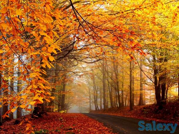 Набор детей в детский сад...по акции, фотография 1