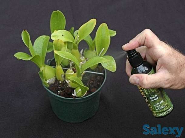 Клонекс Мист (CLONEX  MIST), фотография 3