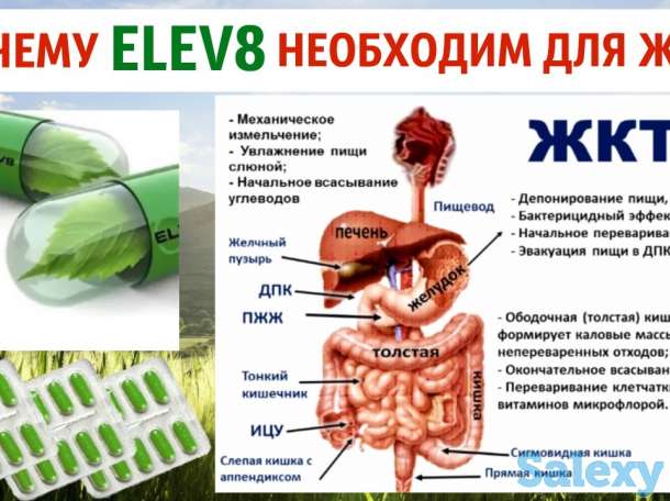 Витамины ELEV8 ACCELER8 GR8, фотография 2