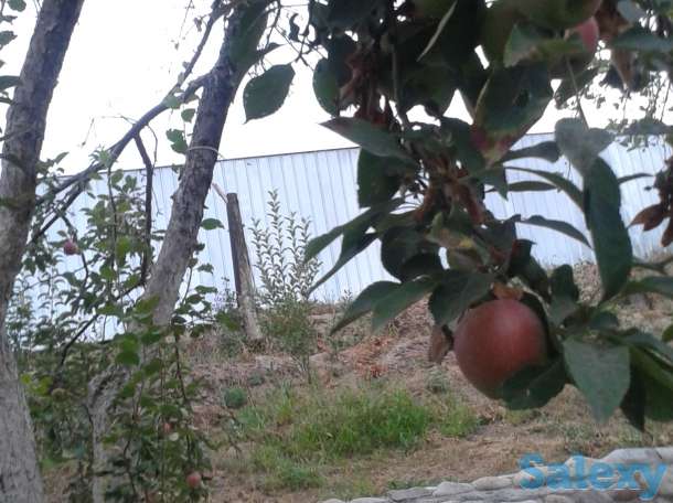 продам дом-дачу с пропиской для жилья, 19км по Ташкентской Рядом озеро и Спорт комплекс, фотография 7