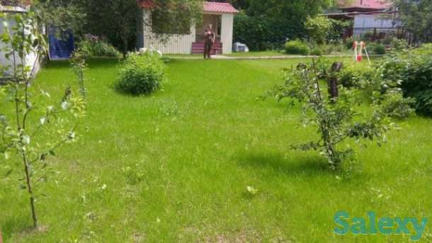 посадка газона, фотография 4