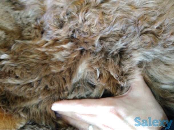 Ковры из шерсти Альпака, фотография 2