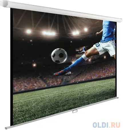 Экран hiper 183x244см cinema swl 4x3-120 4:3 настенно-потолочный рулонный, фотография 1