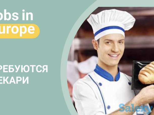 Работа в Польше, работа в Европе, виза в Польшу, фотография 5