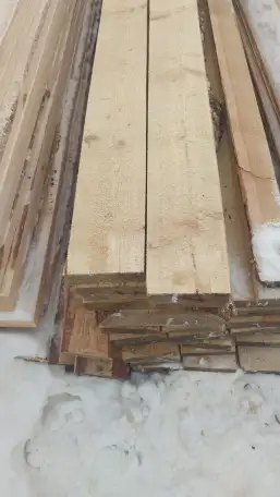 продажа лиственницы и сосны, фотография 3