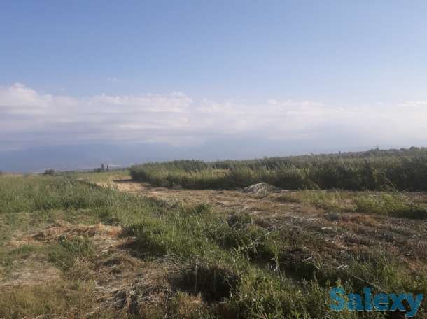 Продам поле 11 га, Алматинская обл, Енбекшиказахский р-он, с Балтабай, фотография 5