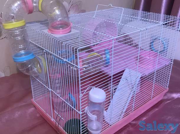 Продам клетка для хомяков 2 -этажный +подарок, фотография 2
