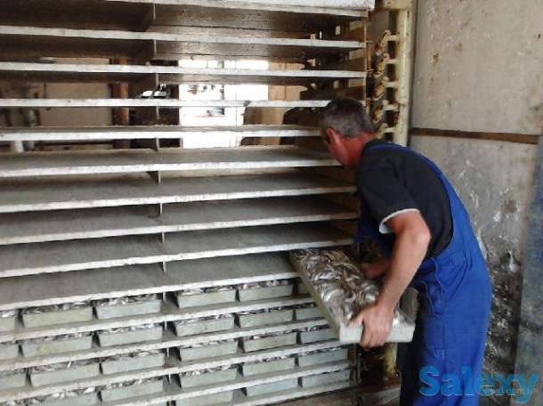 Промышленное холодильное, климатическое оборудование, фотография 5