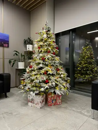 Ёлки в аренду  Ёлки в прокат, фотография 4