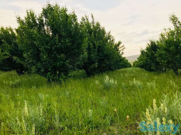 Продам участок 2 га, фотография 9