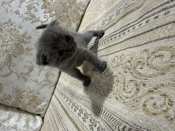 pavlenko100495icloud.com, фотография 1