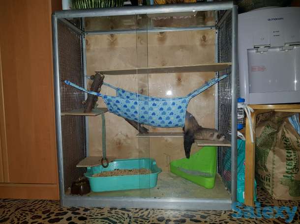 Клетки для шиншилл , белок , хорьков и прочих грызунов, фотография 5