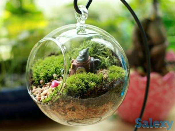 Прозрачный Стеклянный Шар Ваза., фотография 3