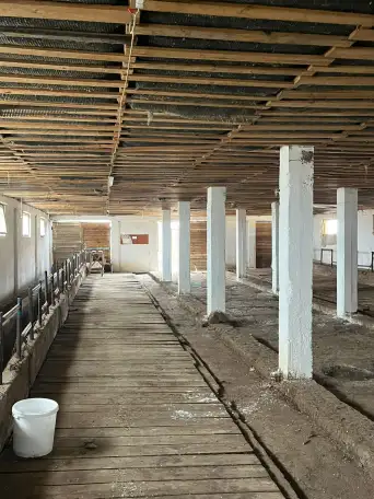 Фазенда, фотография 9