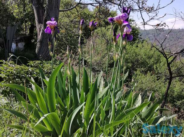 Продажа дачного участка, Энергетик, фотография 6