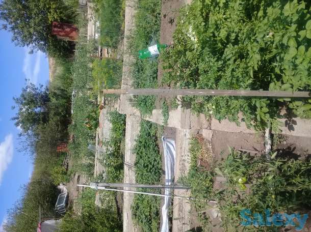 Продам дачу, Меновное, фотография 6