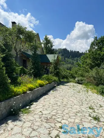 Аренда дома возле заповедника, фотография 2