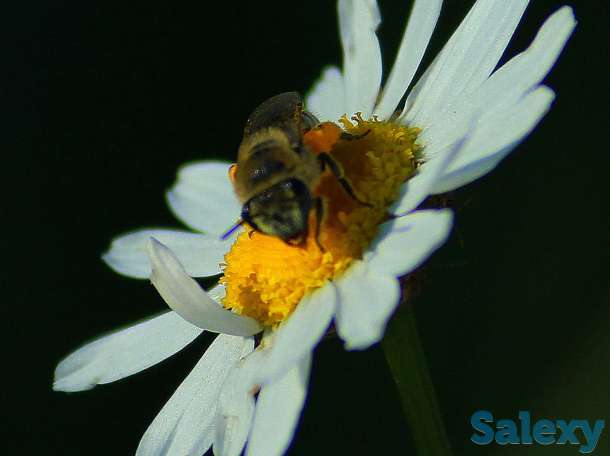 Видео-Фото, фотография 7