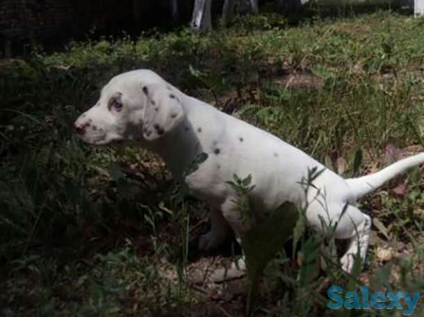 Самые лучшие!!!Для самых ответственных!!!, фотография 1