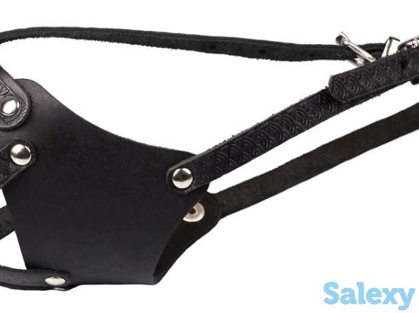 Зоотовары, фотография 6