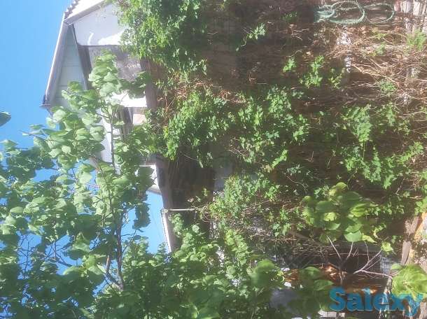 Срочно продам дачу по 4, фотография 4