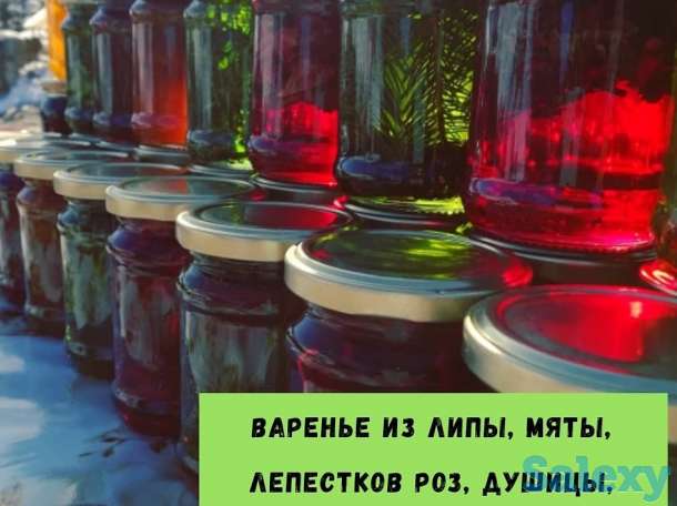 В наличии варенье из сосновых шишек!, фотография 4