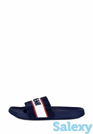 Сланцы t.taccardi, фотография 1