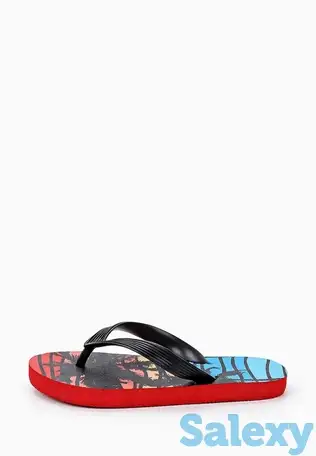 Сланцы t.taccardi, фотография 2