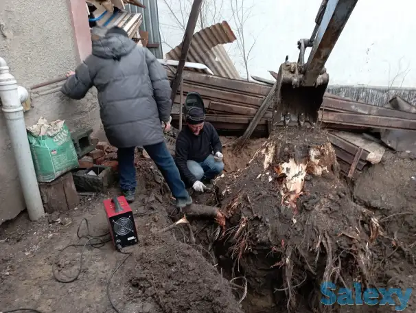 Спил, сруб деревьев, обрезка, кронировка, выкорчевка пней, фотография 5