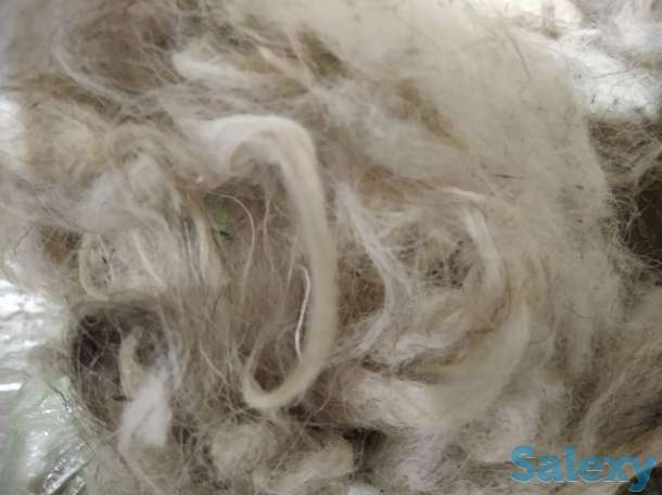Продажа шерсть овечья, фотография 5