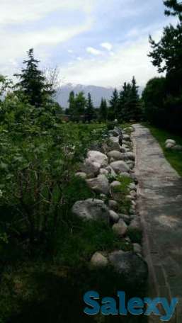 Ландшафтный дизайн, фотография 6