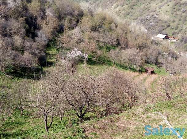 Продажа, Мкр Сулусай, фотография 5