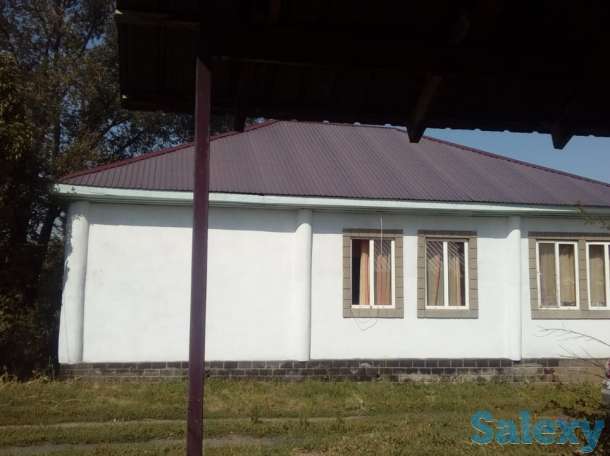 Ерлан, фотография 1