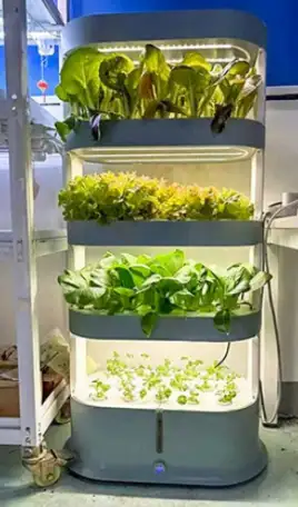 Оборудование для гидропоники, гидропонные установки для растениеводства, выращивание микрозелени, фотография 1