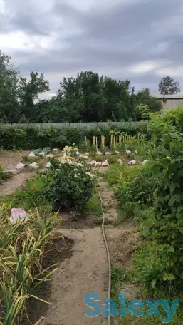 Дача 15 соток, Алматинская область, Талгарский район, с.о. Кендалинский, с. Кендала, с/т Медик-, фотография 11