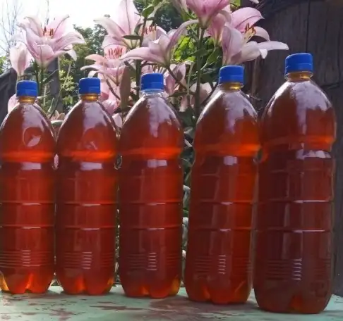 Мед пчелиный, натуральный, 2025 года., фотография 5