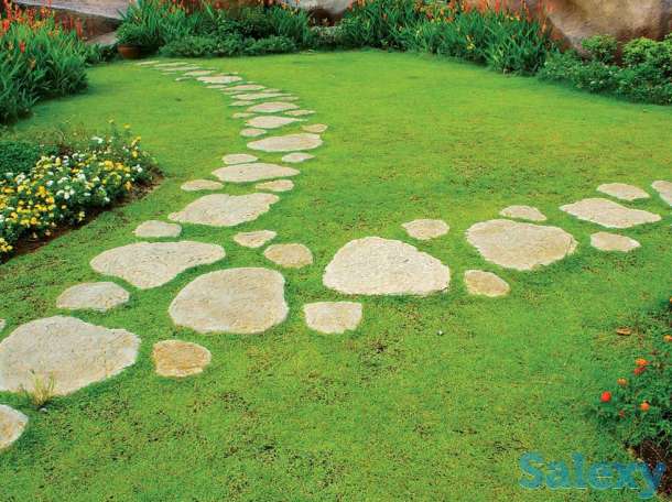 Озеленение, фотография 4